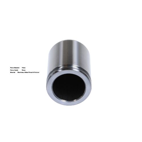 Bigg Red Caliper Piston L or R BRP234415