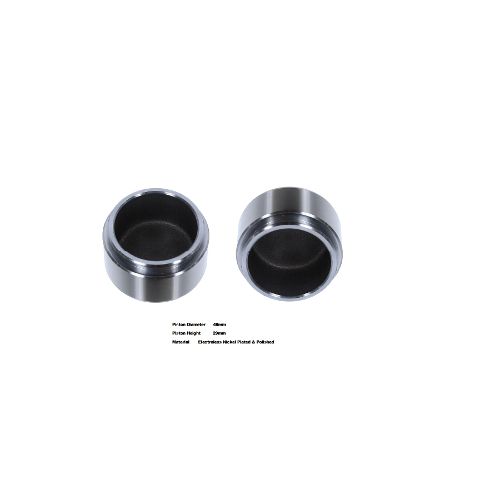 Bigg Red Caliper Piston L or R BRP234801
