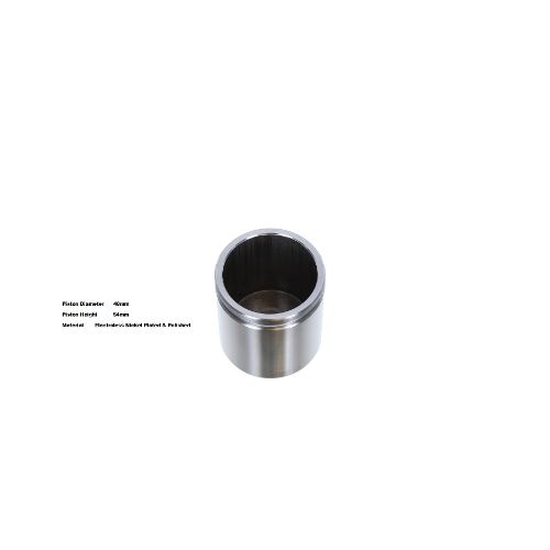 Bigg Red Caliper Piston L or R BRP234810