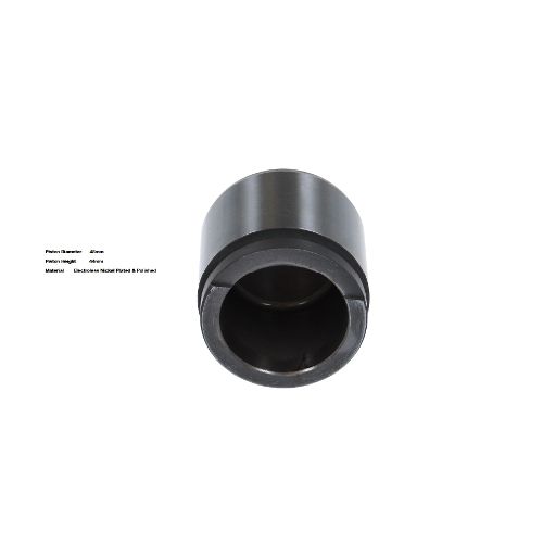 Bigg Red Caliper Piston L or R BRP234817