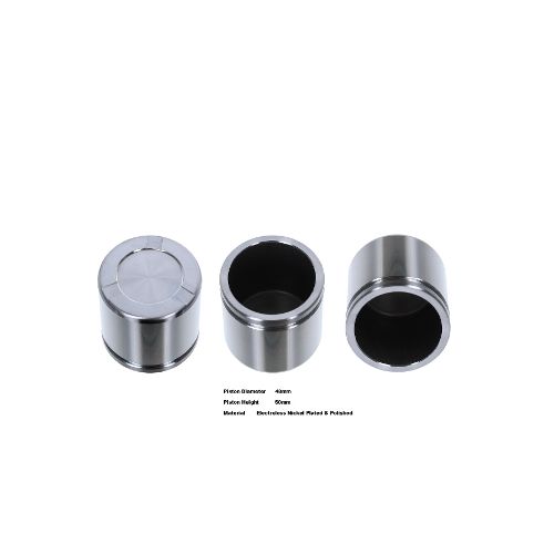 Bigg Red Caliper Piston L or R BRP234855