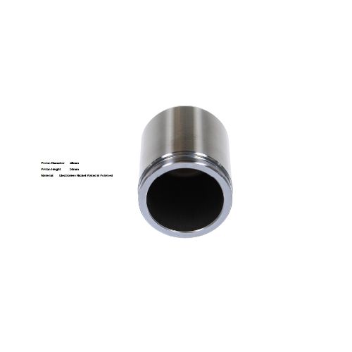Bigg Red Caliper Piston L or R BRP234856