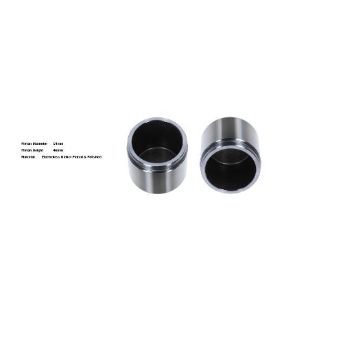Bigg Red Caliper Piston L or R BRP235106
