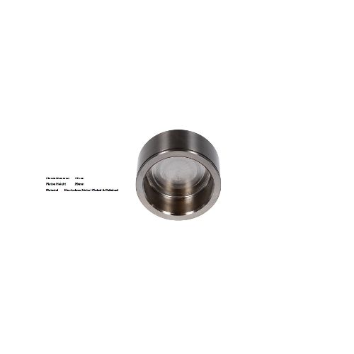 Bigg Red Caliper Piston L or R BRP235704