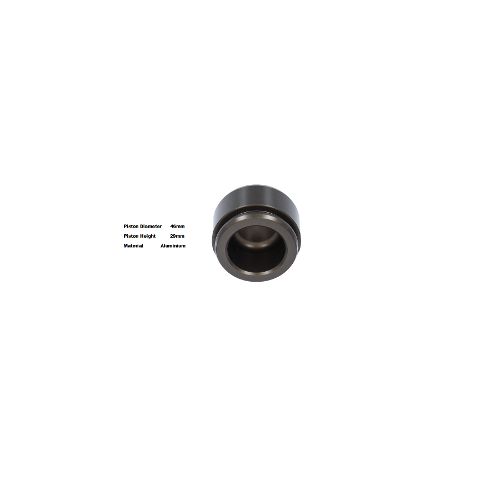 Bigg Red Caliper Piston L or R P462902