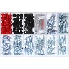 Bigg Red Bleed Screw assortment 195 Pieces Caps, Screws, Grease BRBKIT