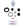 Bigg Red Caliper Piston Kit Rear L or R BRKP641S