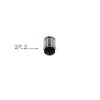 Bigg Red Caliper Piston L or R BRP233414