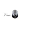 Bigg Red Caliper Piston L or R  BRP233506I