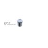Bigg Red Caliper Piston L or R BRP233815