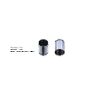 Bigg Red Caliper Piston L or R BRP233815