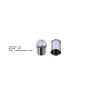 Bigg Red Caliper Piston L or R BRP233815
