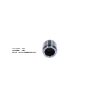 Bigg Red Caliper Piston L or R BRP233834