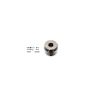 Bigg Red Caliper Piston L or R BRP233871