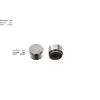Bigg Red Caliper Piston L or R BRP233871