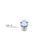 Bigg Red Caliper Piston L or R BRP234101