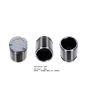 Bigg Red Caliper Piston L or R BRP234338