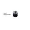 Bigg Red Caliper Piston L or R BRP235106