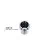 Bigg Red Caliper Piston L or R BRP235726